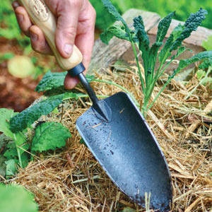 Совок садовый, посадочный, с кованым полотном DeWit