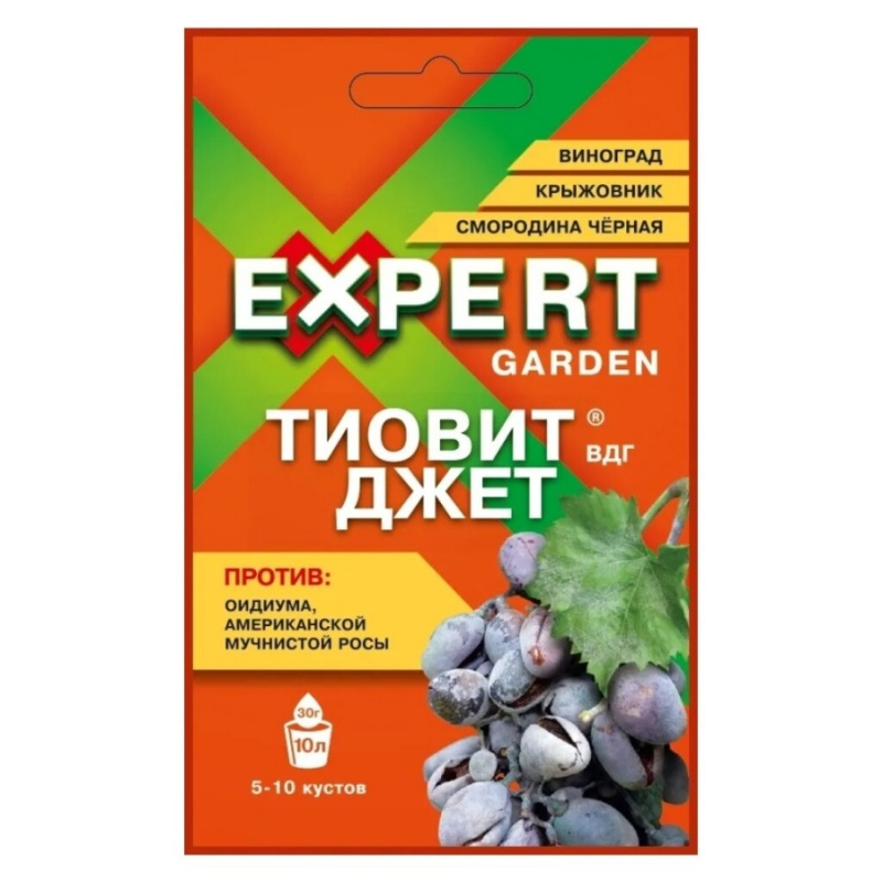 Тиовит Джет, 30гр/Expert Garden