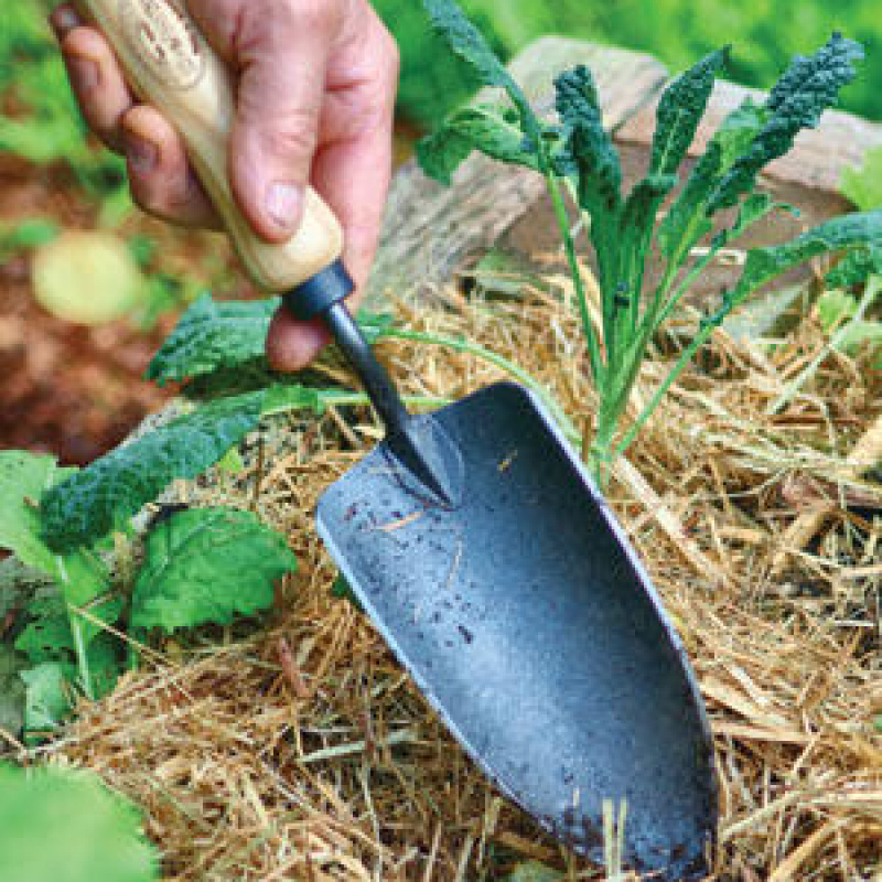 Совок садовый, посадочный, с кованым полотном DeWit