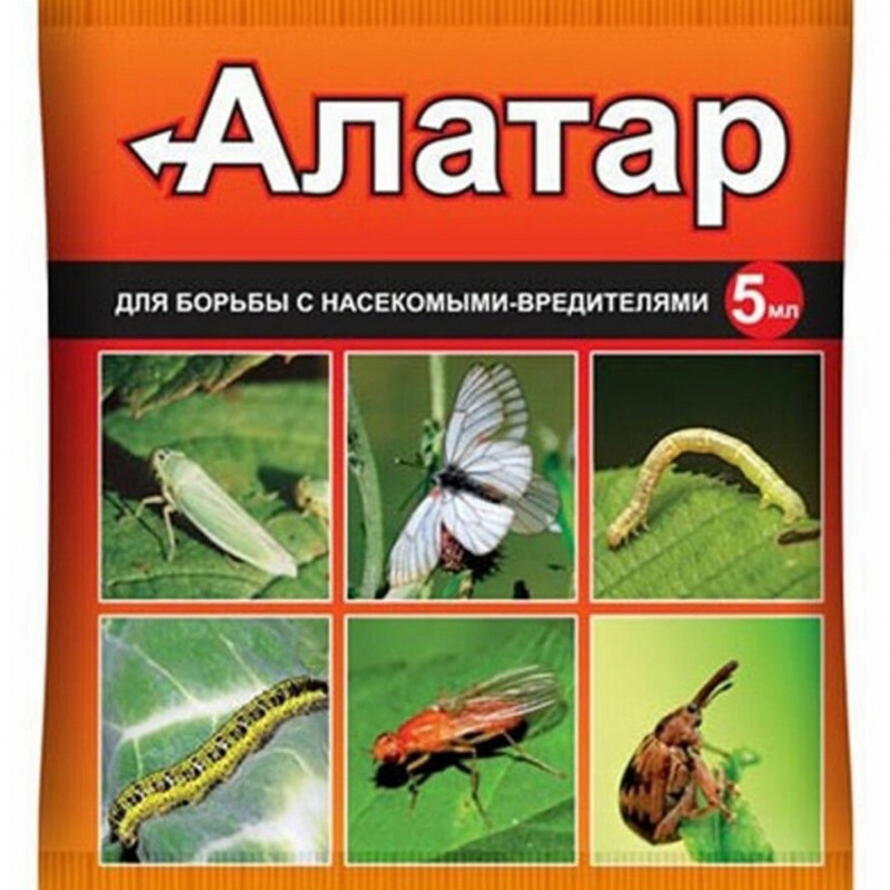 Алатар 5мл ампула в пакете