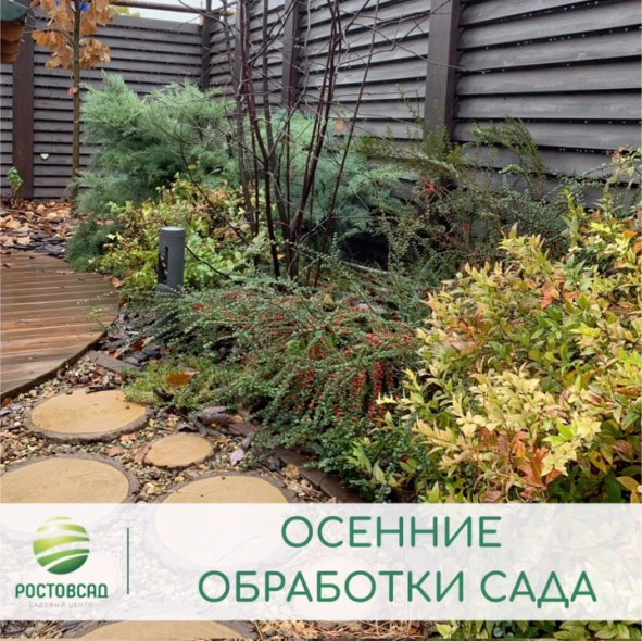 Осенние обработки