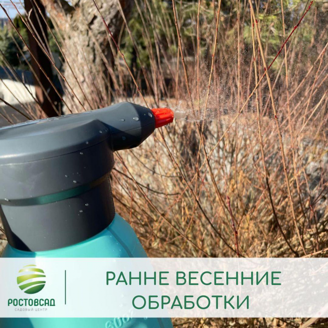 Ранневесенние обработки сада