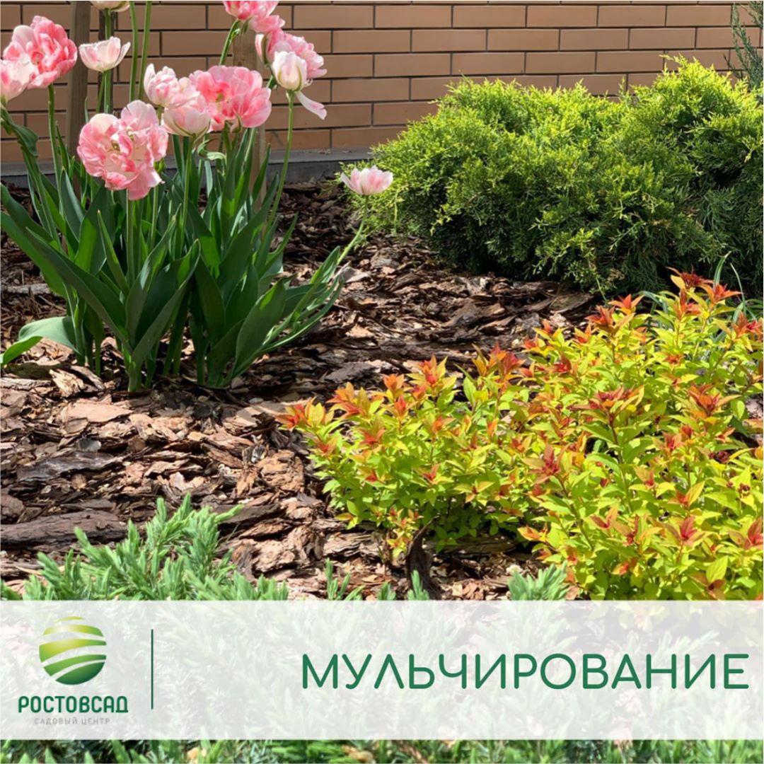 Мульчирование